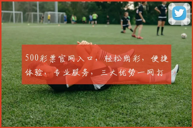 500彩票官网入口，轻松购彩，便捷体验，专业服务，三大优势一网打尽，不容错过