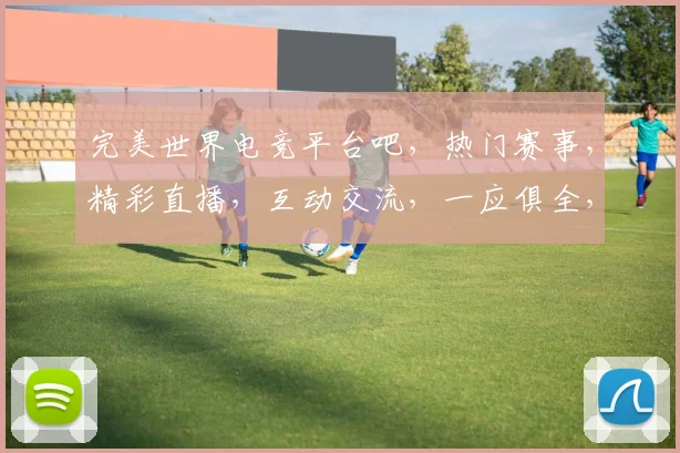 完美世界电竞平台吧，热门赛事，精彩直播，互动交流，一应俱全，尽在掌握