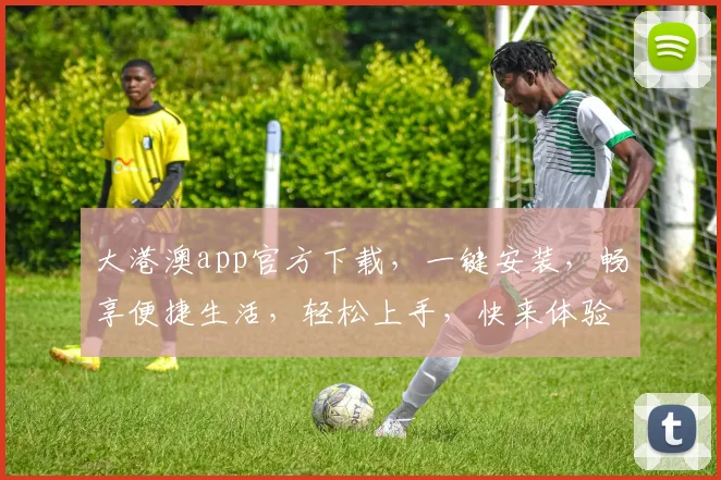 大港澳app官方下载，一键安装，畅享便捷生活，轻松上手，快来体验